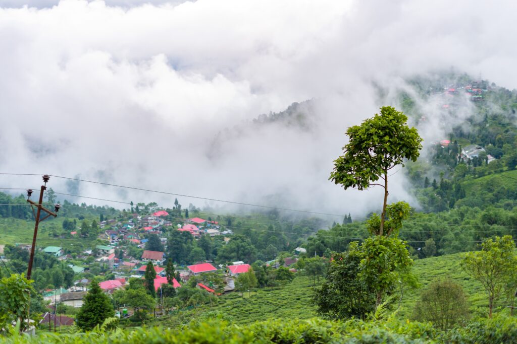 Breathtaking misty view of a mountain village in a lush green tea plantation setting.